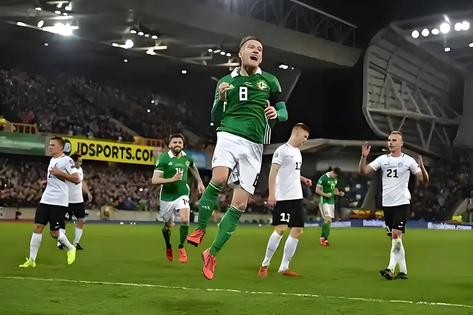 关于欧预赛比赛：爱尔兰胜白俄罗斯，欧洲杯前景可期的信息